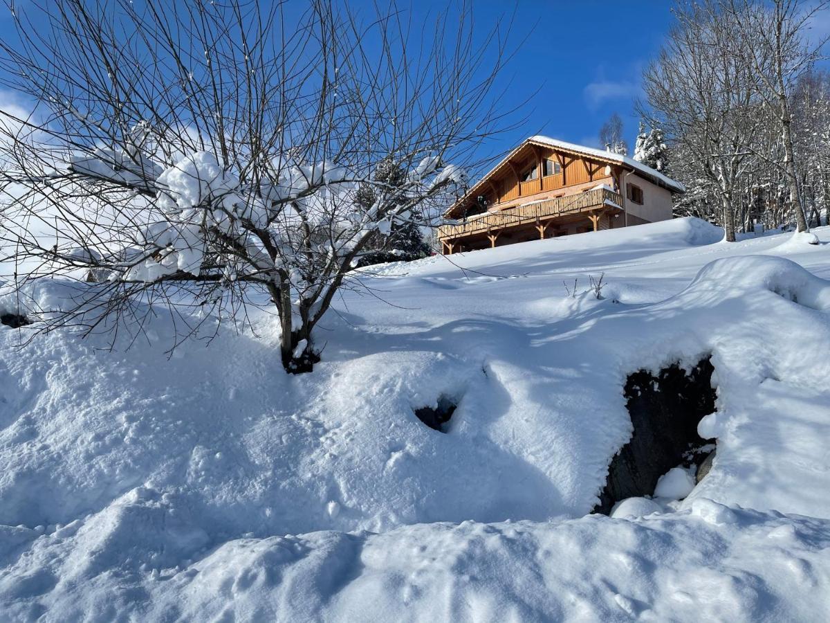 Chalet Spa Le Diamant Nathalie Mn La Rouge La Bresse Buitenkant foto