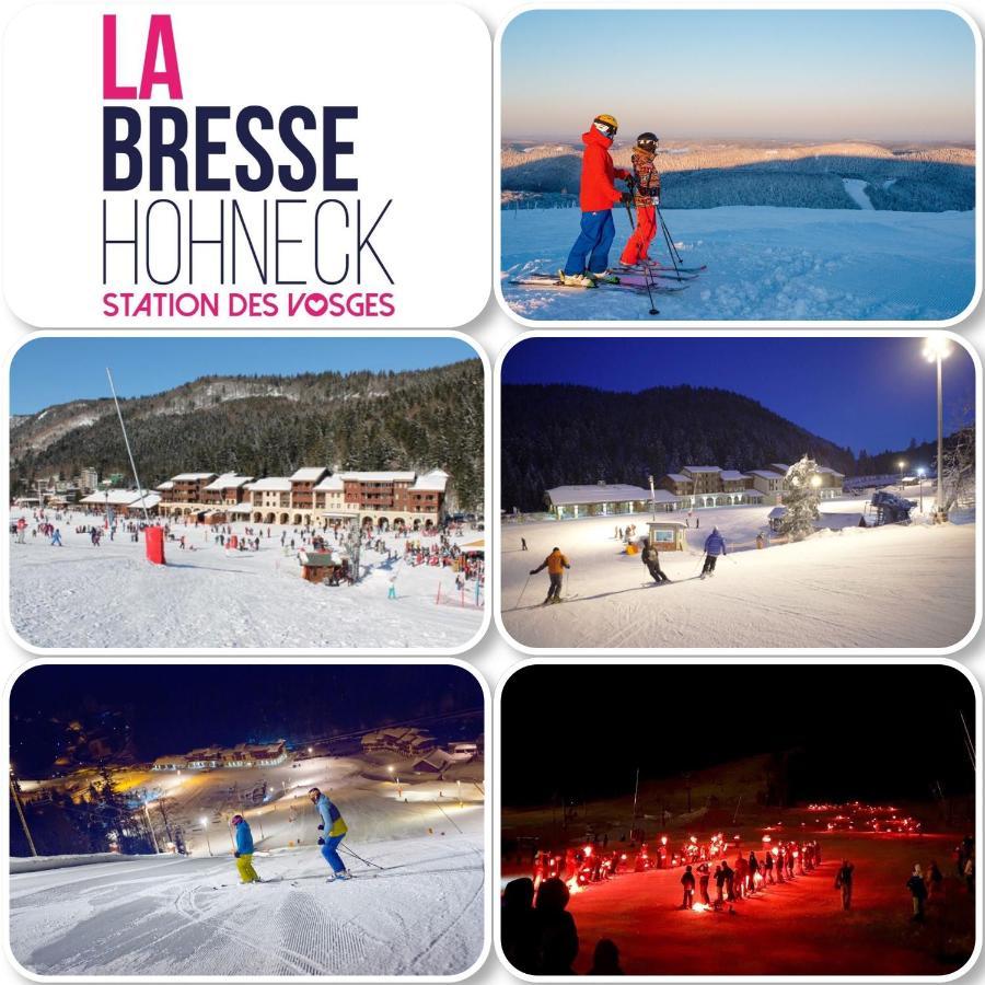 Chalet Spa Le Diamant Nathalie Mn La Rouge La Bresse Buitenkant foto