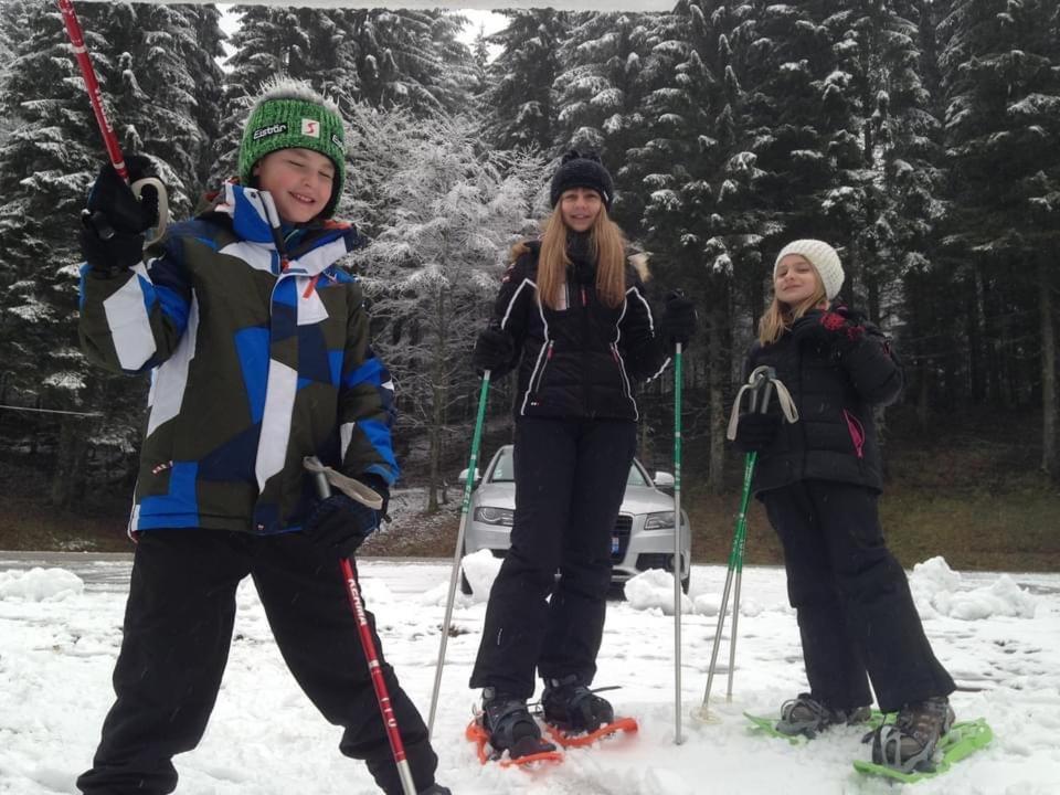 Chalet Spa Le Diamant Nathalie Mn La Rouge La Bresse Buitenkant foto